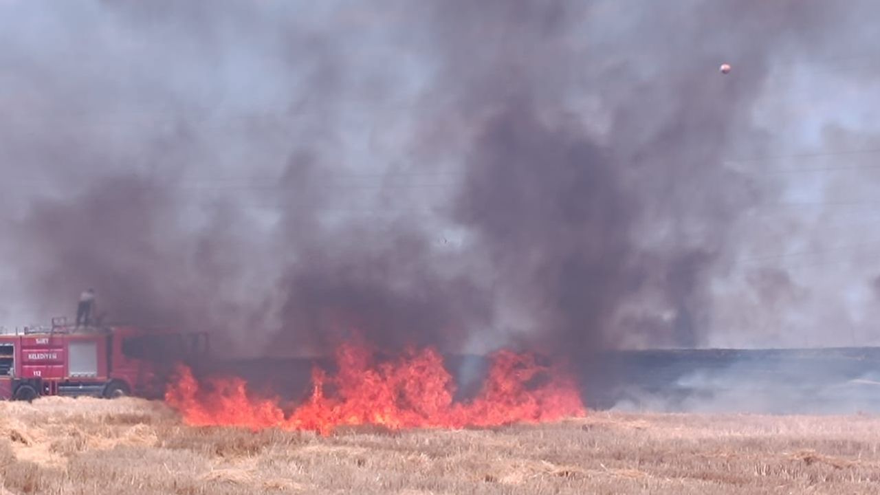 Siirt'te hasadı yapılan bir buğday tarlasında çıkan anız yangını korkuttu