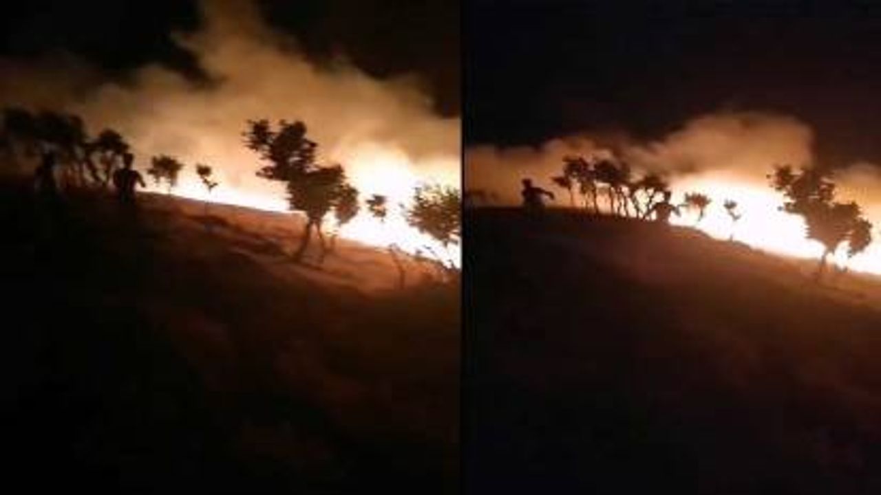 Siirt'te fıstık bahçesinde çıkan yangın ormanlık alana sıçradı