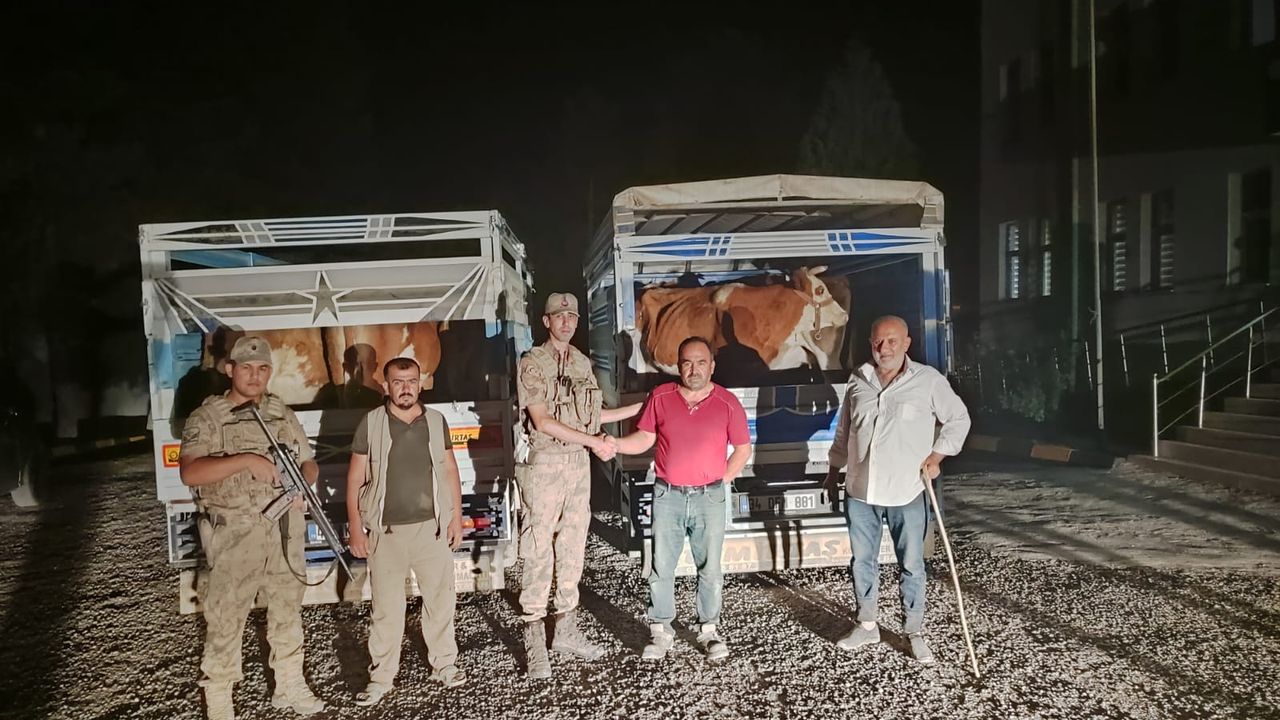 Siirt’te çaldığı büyükbaş hayvanı satarken yakalanan hırsız tutuklandı