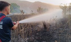Siirt'te çıkan yangında 65 dönüm buğday ekili alan yandı