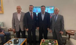 AK Parti Siirt Milletvekili Mervan Gül, Cumhurbaşkanı Yardımcısı Cevdet Yılmaz buluştu