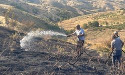 Siirt’te bağda çıkan yangın, çiftçinin emeğini kül etti