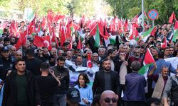 Siirt halkı, İsrail'e karşı "Filistin'e Destek Yürüyüşü"nde sel oldu aktı