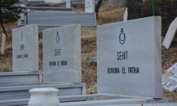 Terör örgütü PKK’nın saldırıları hafızalardan silinmiyor