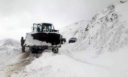 Siirt'te kar ve tipi nedeniyle 10 köy yolu ulaşıma kapandı
