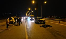 Siirt'te otomobil sürüye çarptı: 17 keçi telef oldu
