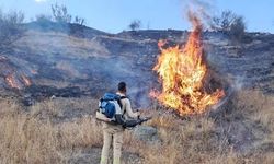 Siirt'te örtü yangını ekiplerce söndürüldü