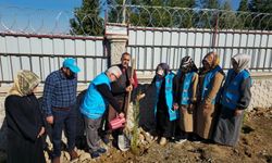 Siirt Müftüsü Pinal, gençlerle beraber fidan dikti