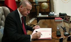 Cumhurbaşkanı Erdoğan’ın kararıyla Siirt’in Kurtalan Ovası Büyük Ova ilan edildi