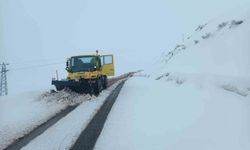 Siirt’te kapanan köy yolları ulaşıma açıldı