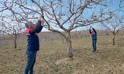 Siirt’te soğuk hava ve don kontrolleri yapıldı