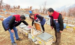 Pervari’de kırsal kalkınma destekli arıcılar denetlendi