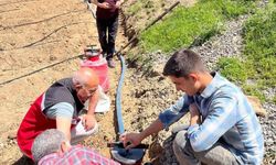 Şirvan’da Kadınlar İçin Çilek Deneme Alanı Kuruldu