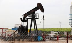 TPAO Siirt’te Petrol Arama Çalışmalarını Sürdürüyor