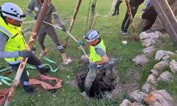 Siirt’te kuyuya düşen dana kurtarıldı
