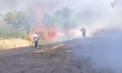 Siirt’te yangın! 100 Fıstık ağacı zarar gördü