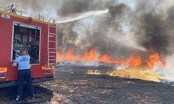 Siirt Valiliği yangınlara karşı uyardı