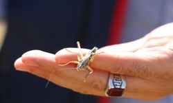 Siirt’te Çekirge İstilasına Dronla Mücadele