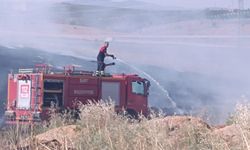Siirt Organize Sanayi Bölgesi’nde 60 Dönümlük Alan Küle Döndü
