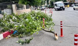 Siirt’te Kuvvetli Rüzgar Felaketi: 2 Kişi Yaralandı