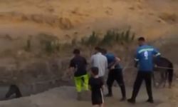 Kurtalan’da Çamura Saplanan At Kurtarıldı