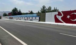 Kurtalan ekspresi motifli güvenlik noktaları dikkat çekiyor