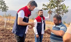 Ekipler, Pervari’de Ceviz Bahçelerinde İncelemelerde Bulundu