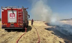 Siirt’te Buğday Tarlasında Yangın Çıktı
