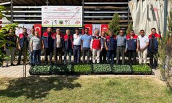 Siirt’te Marul ve Karnabahar Üretim Projesi Hayata Geçirildi