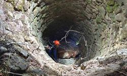 Siirt’te Su Kuyusuna Düşen İnek Kurtarıldı