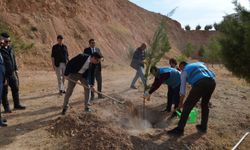 Siirt’te 11 Kasım Milli Ağaçlandırma Günü’nde Fidanlar Toprakla Buluştu