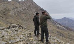 Siirt’te Kaçak Avlanmaya 15 Bin Lira Para Cezası