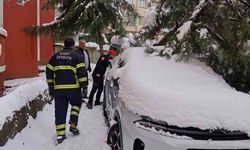 Siirt’te Karın Ağırlığına Dayanamayan Çam Ağacı Otomobilin Üzerine Devrildi