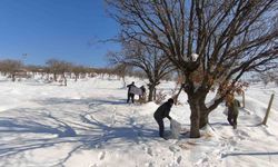 Siirt’te Yaban Hayvanları İçin Doğaya Yem Bırakıldı