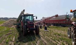 Saman Presi Sırasında Kaza: Silahla Oynayan İşçi Kendini Vurdu