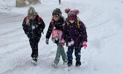 Pervari’de Kar Tatili: Okullar 1 Gün Süreyle Kapalı