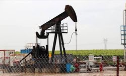 Siirt ve Çevresindeki Petrol Sahaları İçin Ruhsat Süresi Uzatıldı