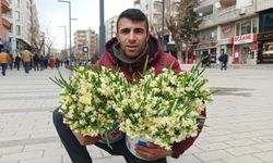 Siirt’te İlkbaharın Müjdecisi Nergiz Çiçeği Tezgâhlarda Yerini Aldı