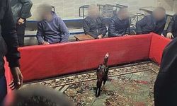 Siirt’te Yasa Dışı Horoz Dövüşüne Baskın: 60 Gözaltı