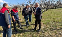 Siirtli Çiftçilere Tarımda Eğitim Desteği