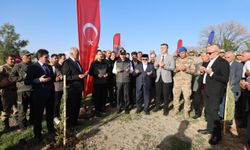 Siirt'te Bin Fidan Toprakla Buluştu