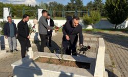 AK Parti Siirt İl Başkanı Özturan Şehitlerimizi Kabirleri Başında Dualarla Yad Etti