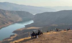 Botan Vadisi İçin Ağaçlandırma Çağrısı