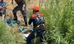 Siirt’te Kuyuya Düşen Köpek AFAD Ekiplerinin Operasyonuyla Kurtarıldı