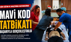 Siirt Eğitim ve Araştırma Hastanesinde "Mavi Kod" Tatbikatı Gerçeğini Aratmadı