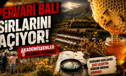 Pervari Balı İçin Tarihi Araştırma! Tescilli Baldaki Sır Perde Açılıyor