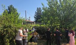 Engelsiz Yaşam Merkezi’nde Böğürtlen Hasadı