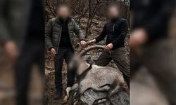Siirt'te 6 Yıl Sonra Çözüldü: Kaçak Avcılar Tespit Edildi