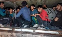 Siirt’te Durdurulan Araçta 12 Kaçak Göçmen Yakalandı
