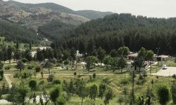 Siirt'te Ormanlık Alanlara Girişler Yasaklandı